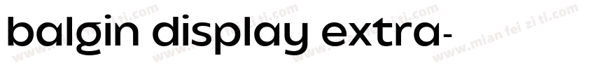 balgin display extra字体转换